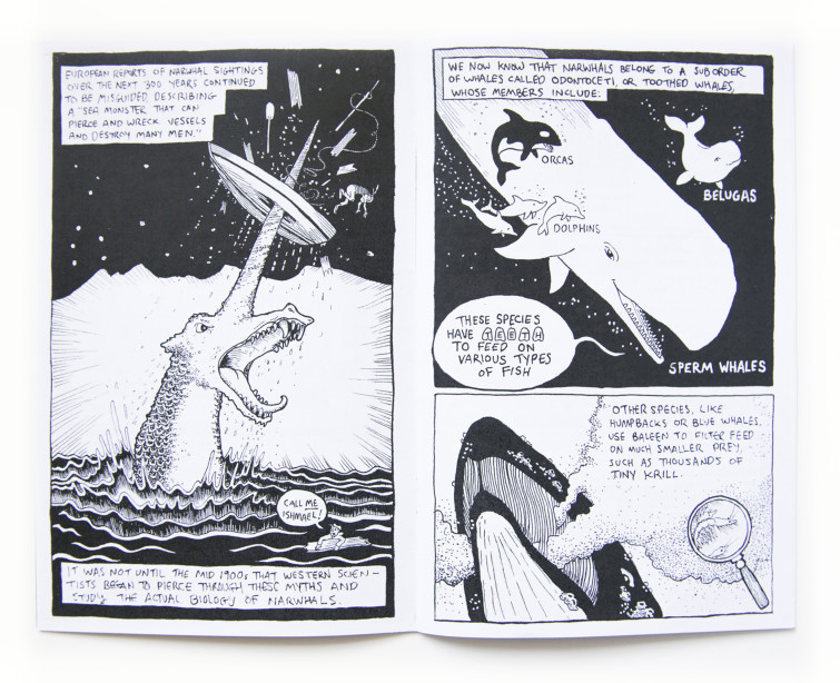 54-MythsoftheTusk-OwenCurtsinger-2
