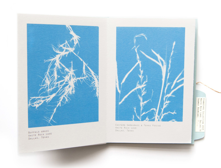 6-ShamsyRoomiani-CyanotypeCollection2015-2