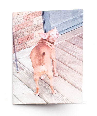 88-BlakeJones-ChihuahaBalls-Cover-400